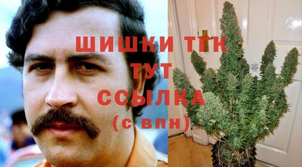 тгк Аркадак