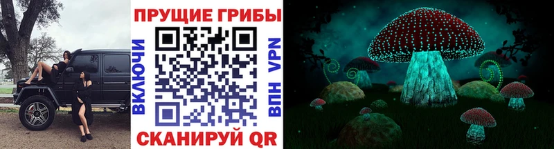 Псилоцибиновые грибы GOLDEN TEACHER  где можно купить наркотик  Харовск 